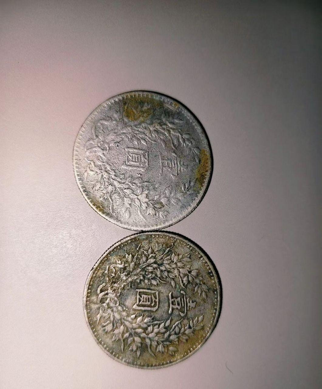 袁大头两枚