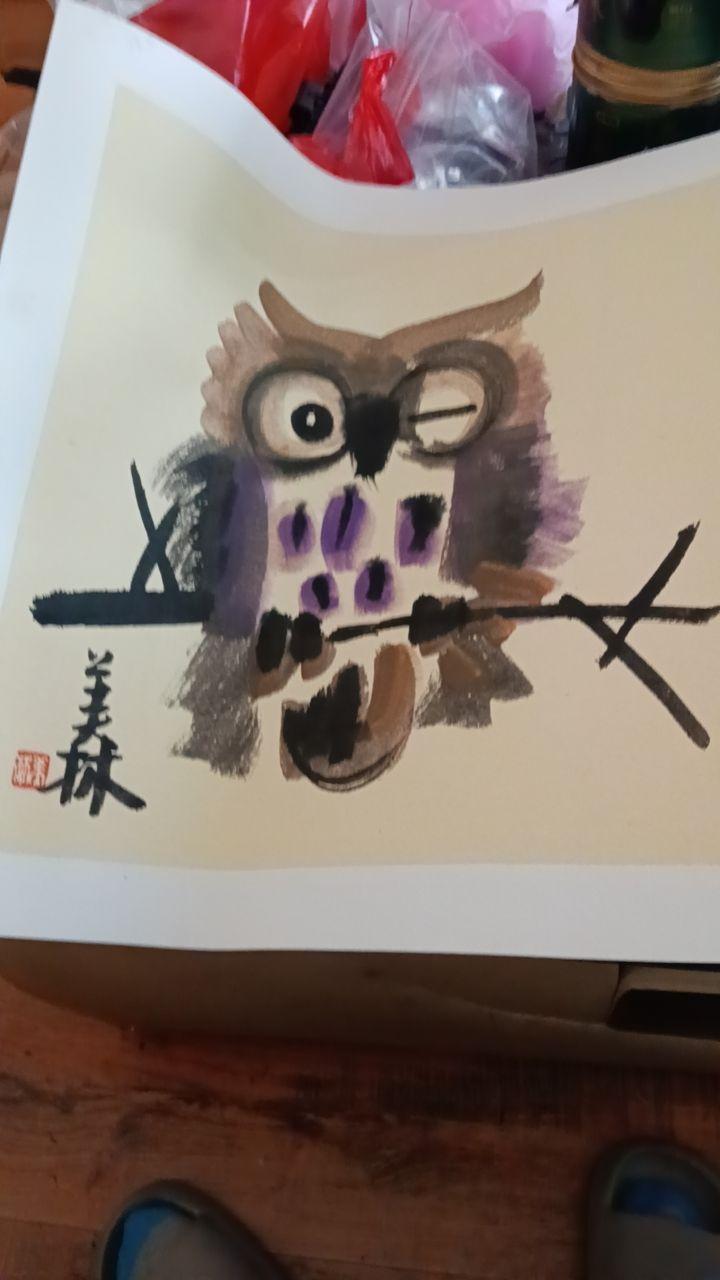 韩美林“猫头鹰”画作