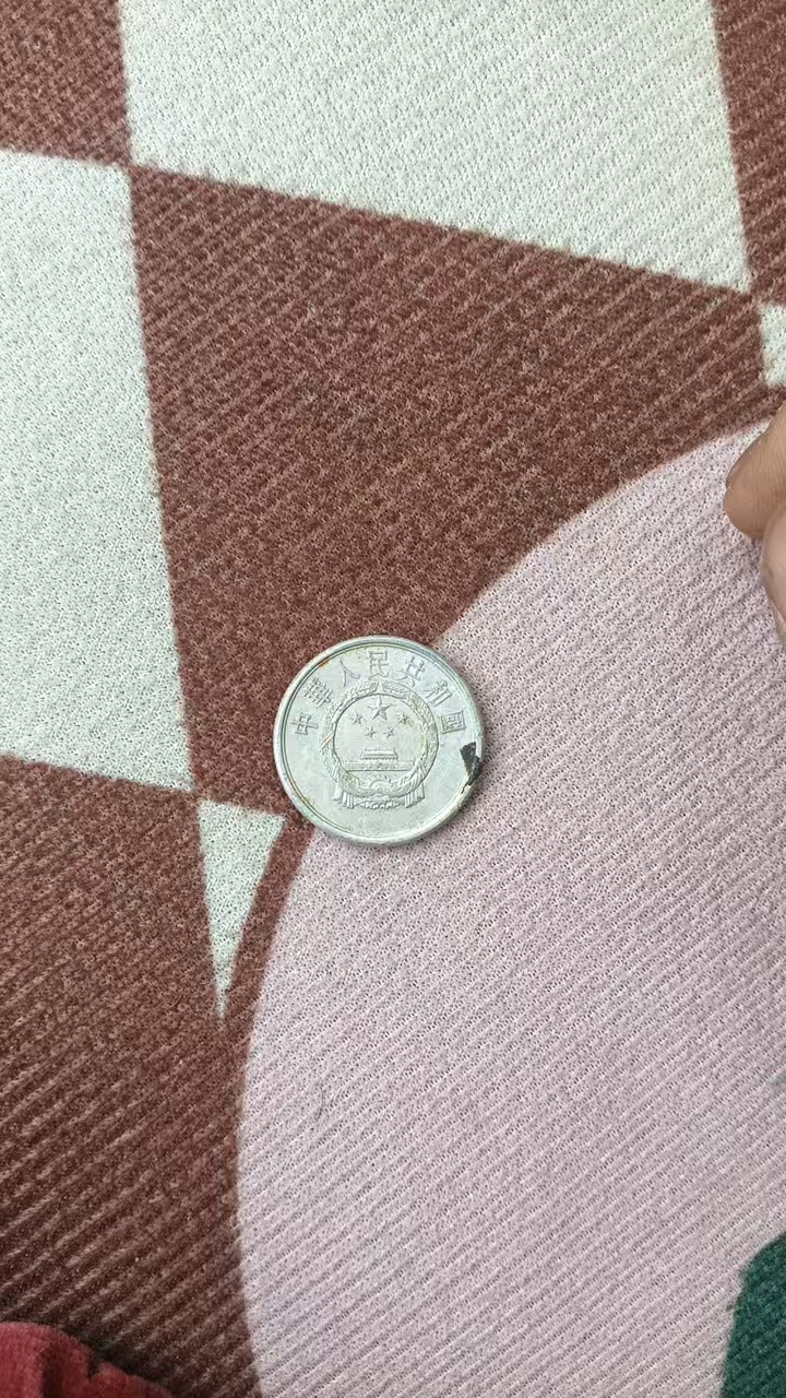 麦穗和菊花硬币
