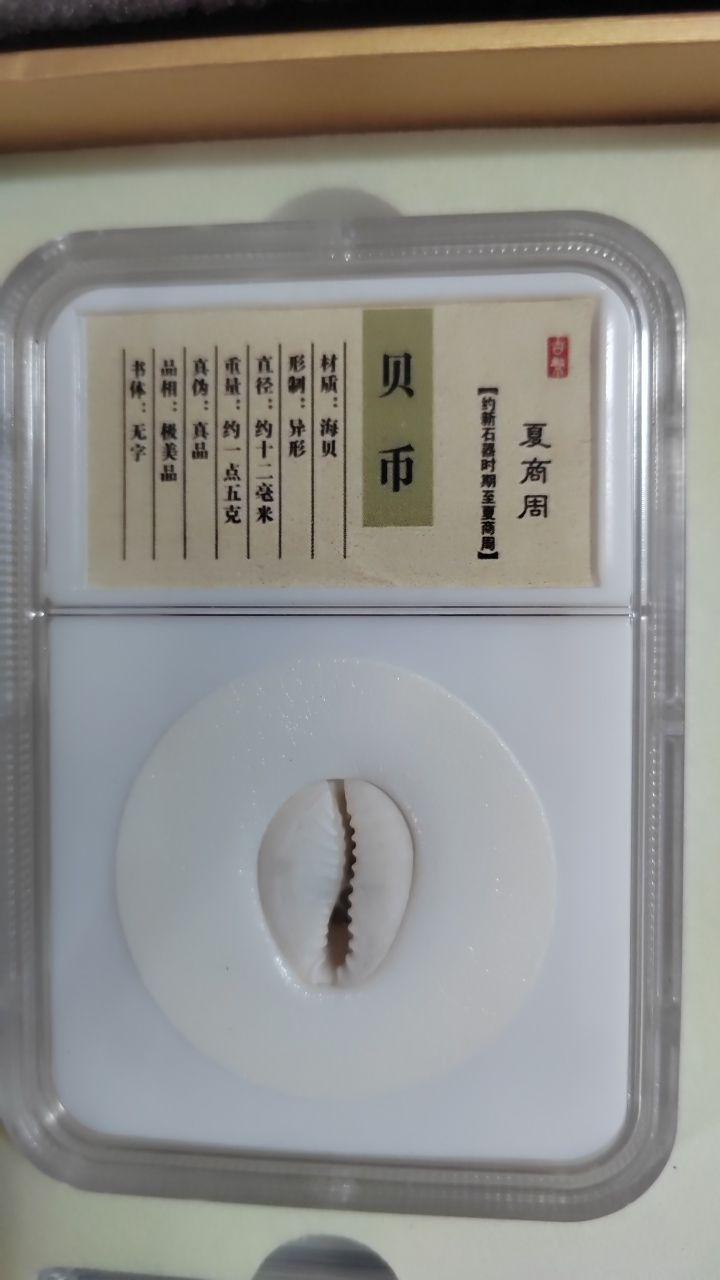 历代龙头币王