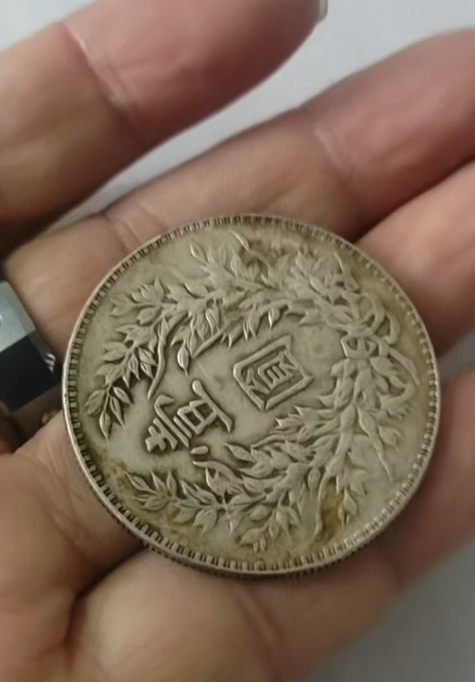 袁大头